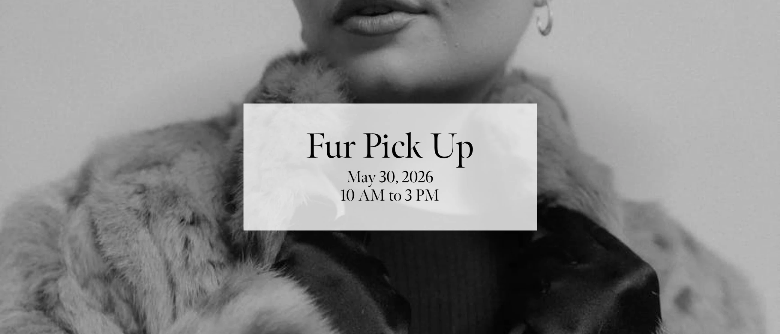 Fur Pick Up desktop banner